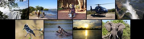 Reisverslag Zambia Botswana